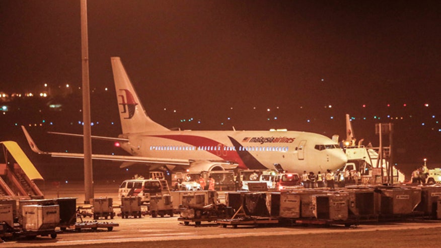 Malaysia Plane0421.jpg